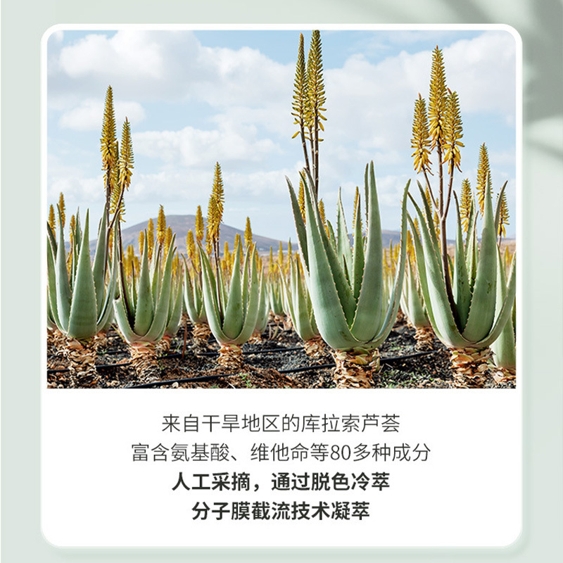 蘆薈膠宏睿生物供應(yīng) 蘆薈膠99%蘆薈凝膠 化妝品原料 另有蘆薈凍干粉 包郵