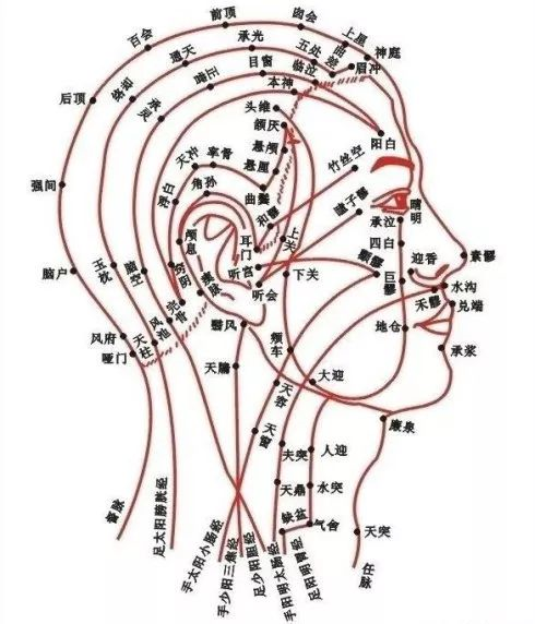 何為：頭？中醫(yī)認(rèn)為，“五臟之血， 六腑之氣，皆上注于頭”。