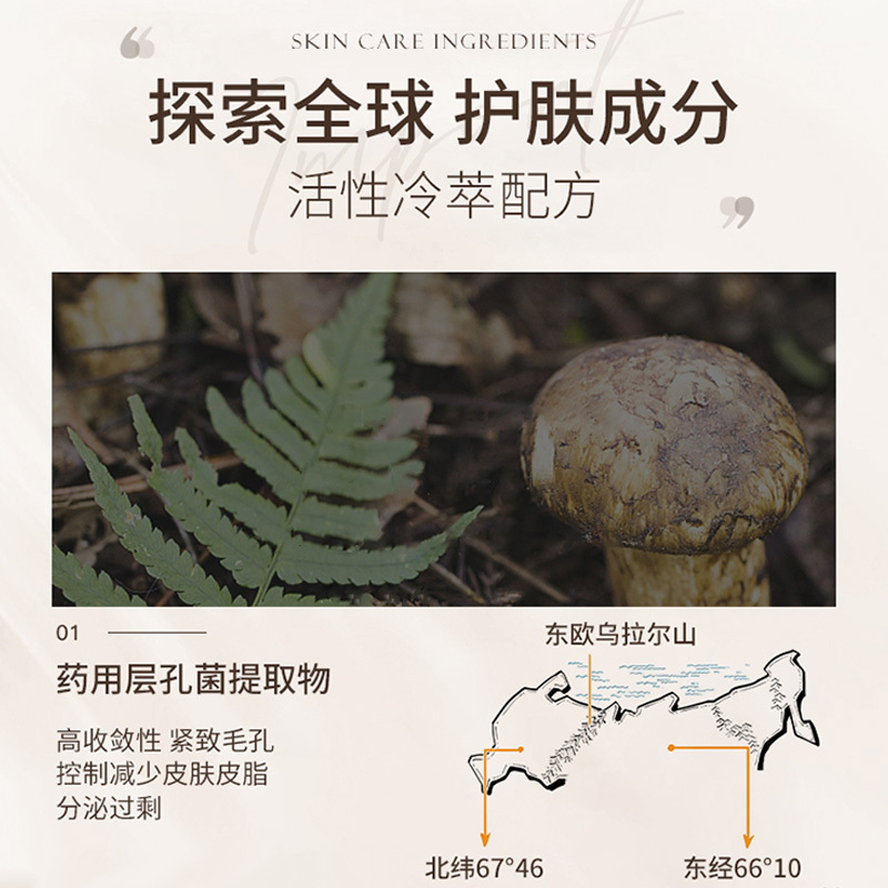 爆款OEM定制活性冷萃“白茶”雅韻香沐浴露 免費打樣 美容院護理