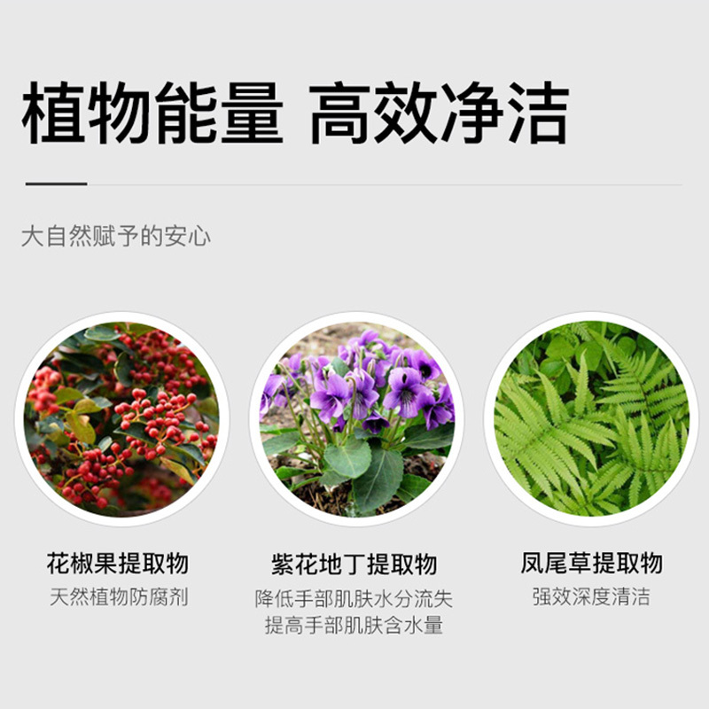 洗手液 茶樹精油泡沫洗手液親膚配方泡沫綿密
