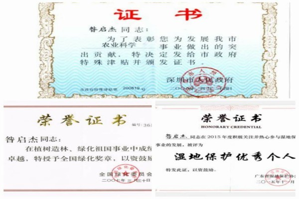 风景园林教高——昝启杰 风景园林教高——昝启杰