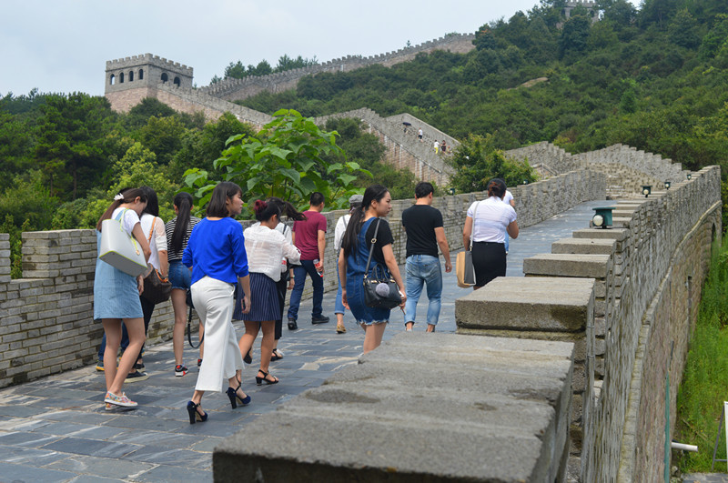 After arriving at the scenic spot, members of the Greenland 303 Sightseeing Office, accompanied by the person in charge of the scenic spot, visited the Guishiling Leisure Agriculture Sightseeing Corridor, which is known as the "Nanchang Small Great Wall", and gave a high evaluation of our scenic spot in terms of planning, construction and environmental sanitation.    