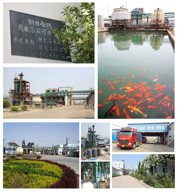 金河集團
