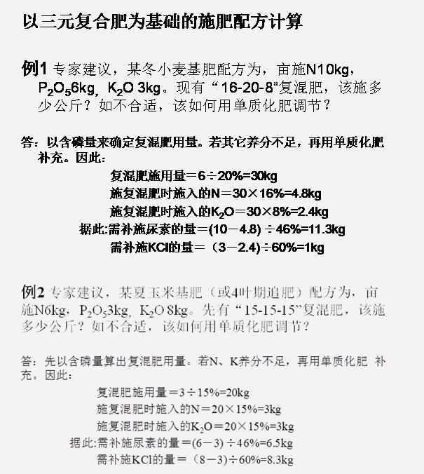 九禾