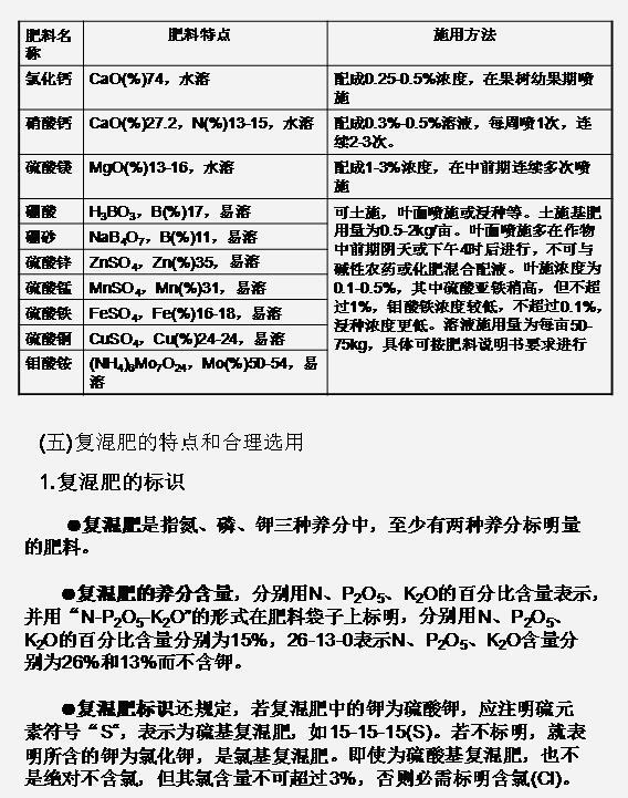 九禾