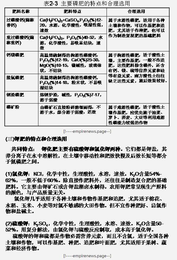 九禾
