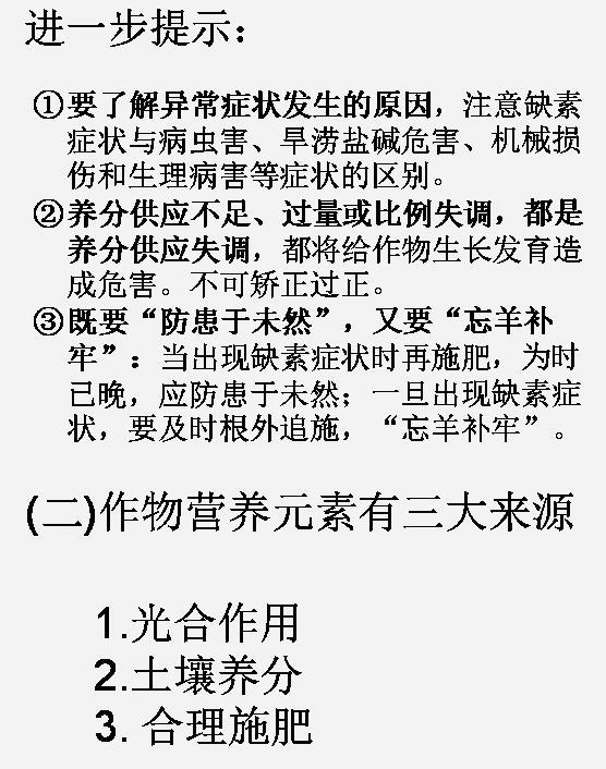 九禾