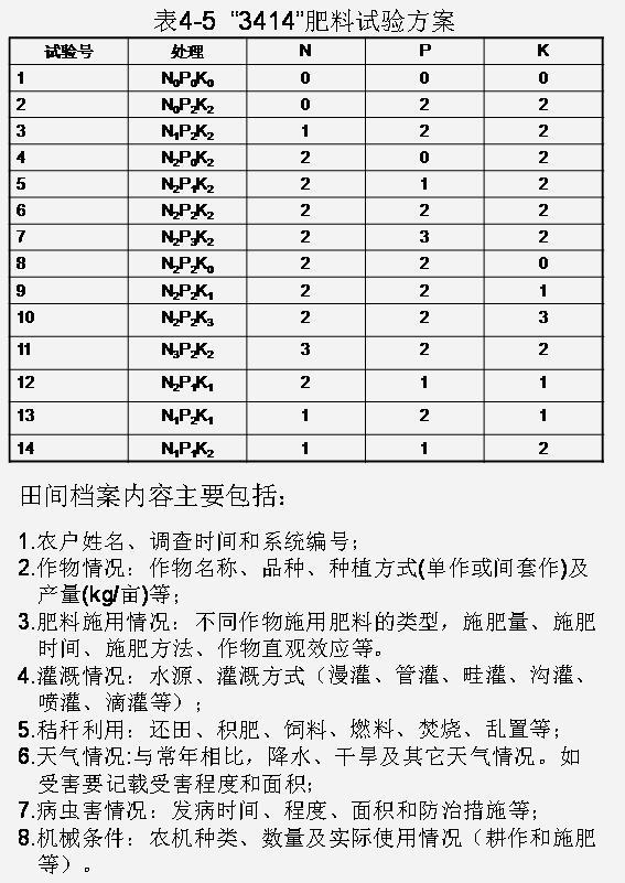 九禾