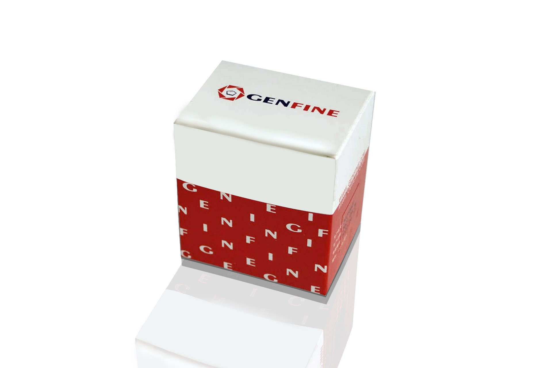 GenFQ qPCR Probe Master Mix