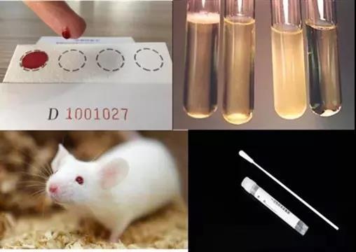 Universal virus sample dna/rna preservation solution (inactivation)