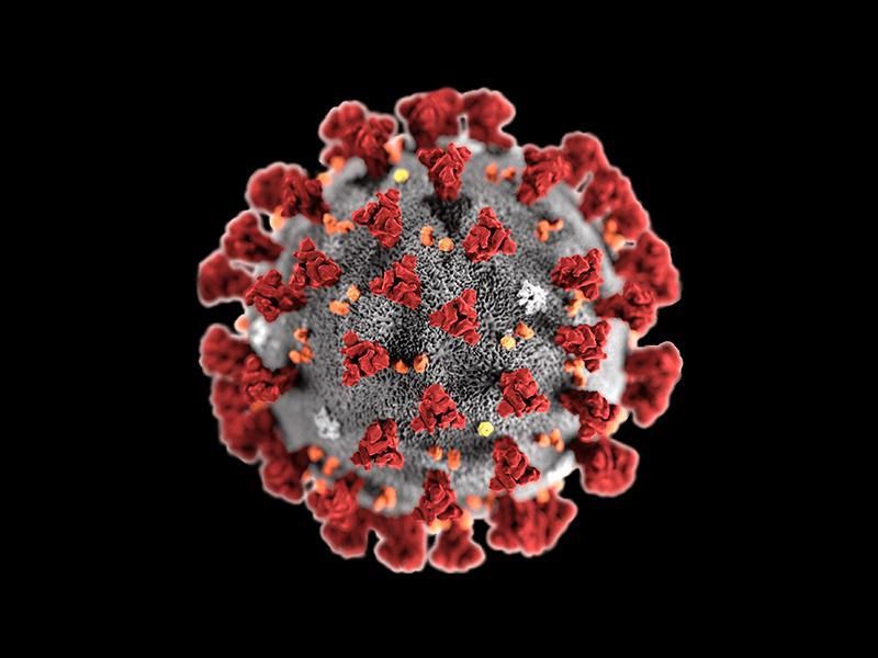 Inactivation and preservation solution of respiratory pathogen samples