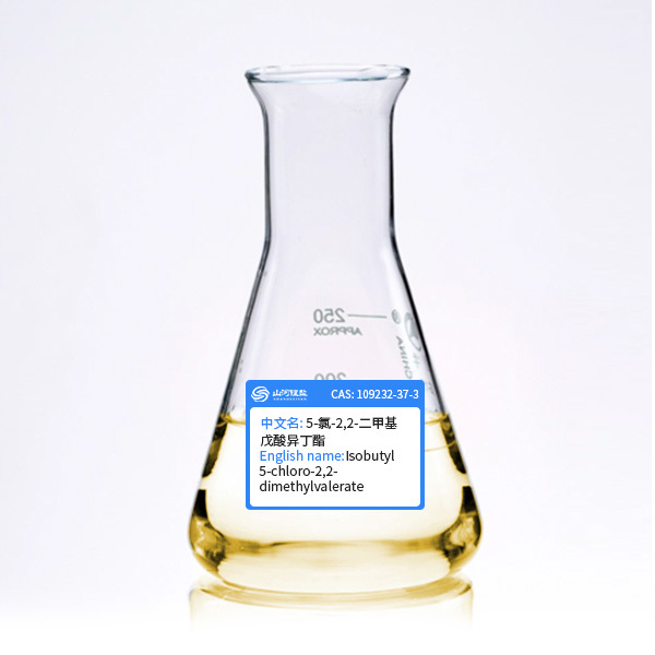 5-氯-2,2-二甲基戊酸异丁酯