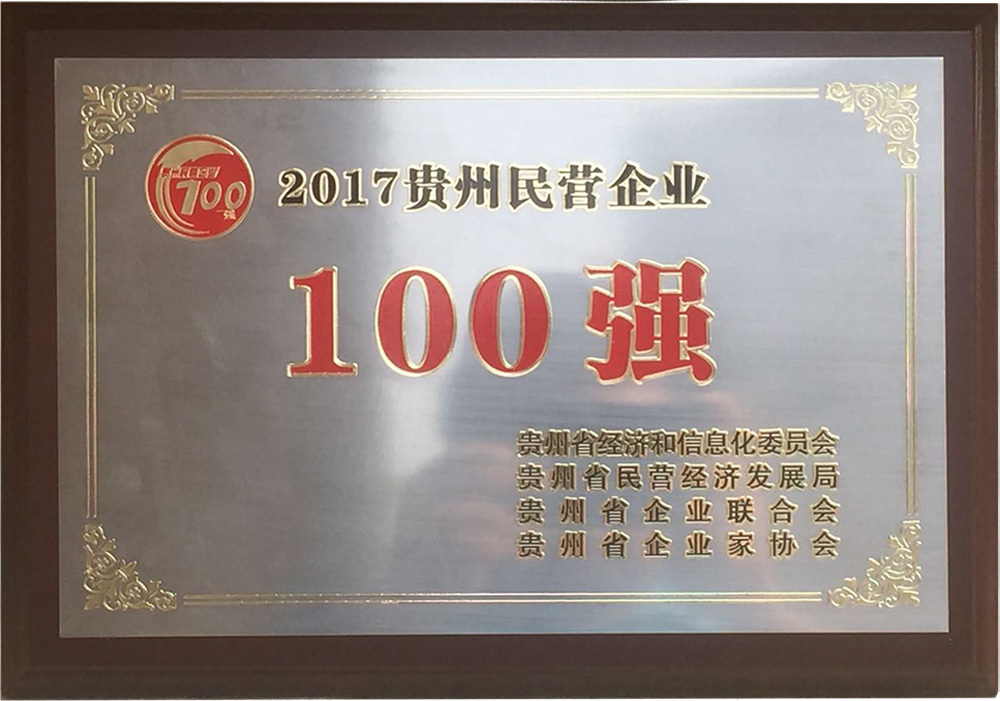 贵州民营企业100强