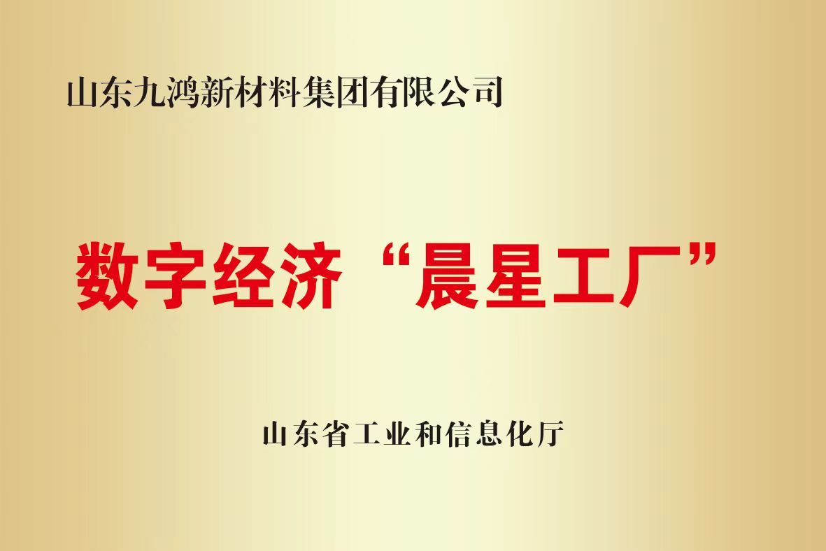 數(shù)字經(jīng)濟(jì)“晨星工廠”