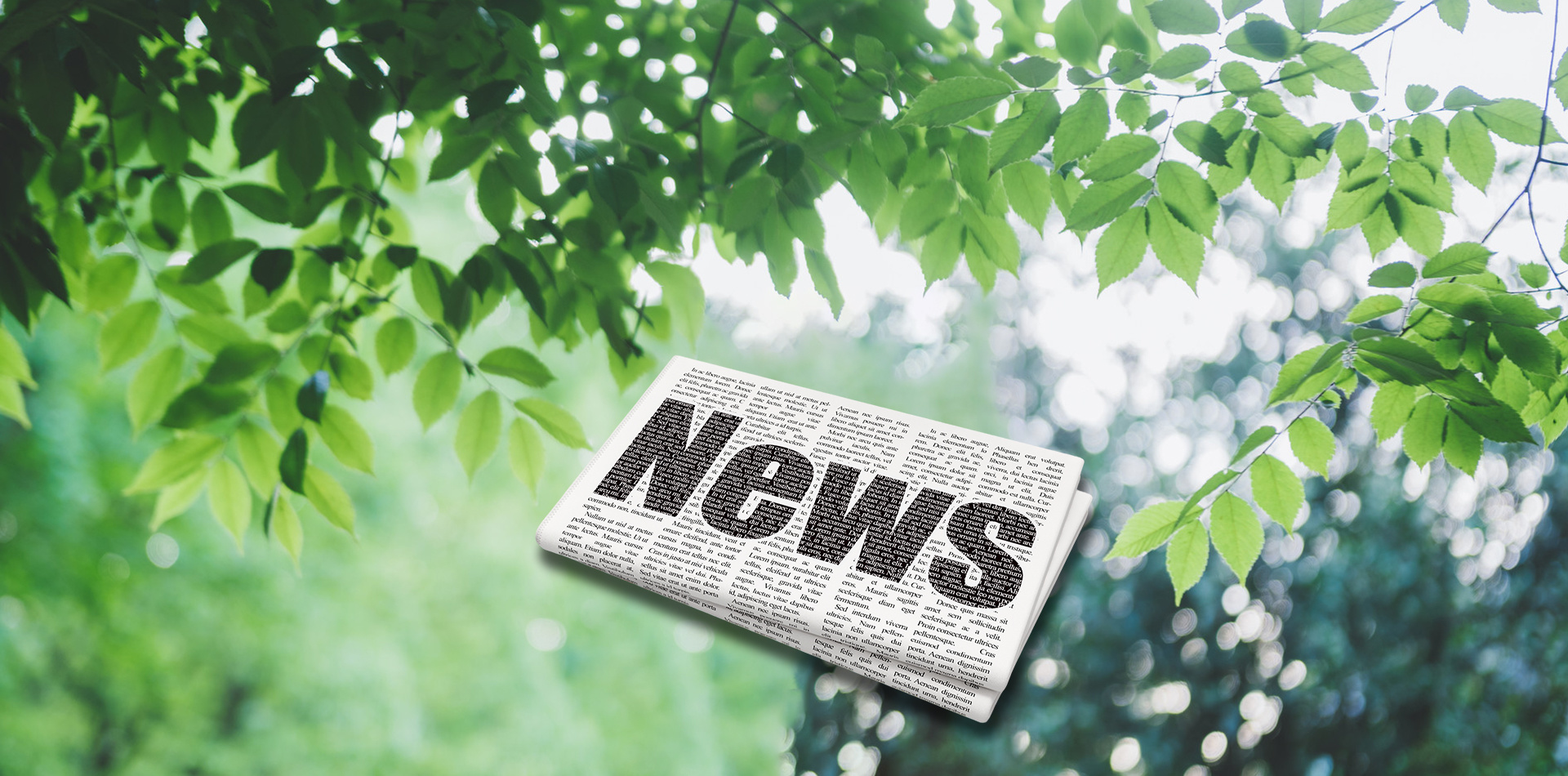 新聞動態(tài)
