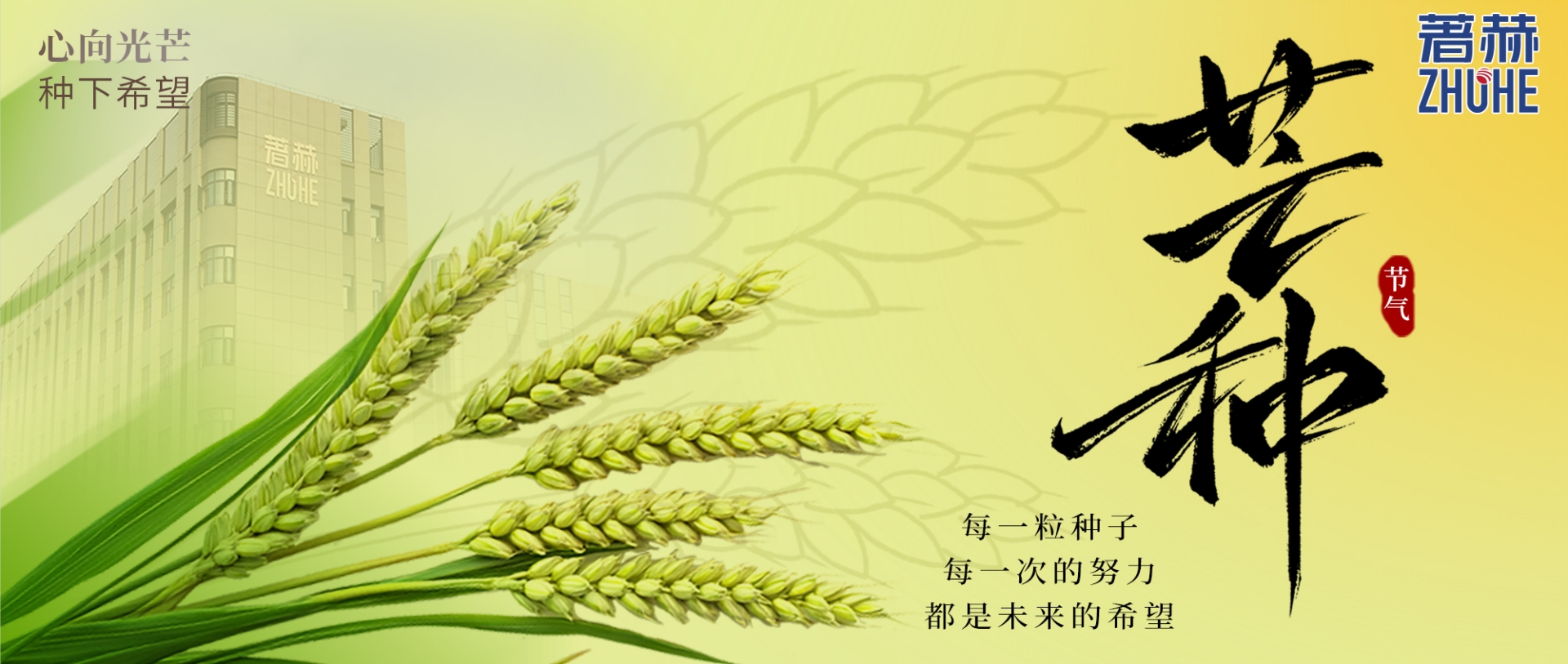 芒种/每一次的努力都将会是您未来的希望