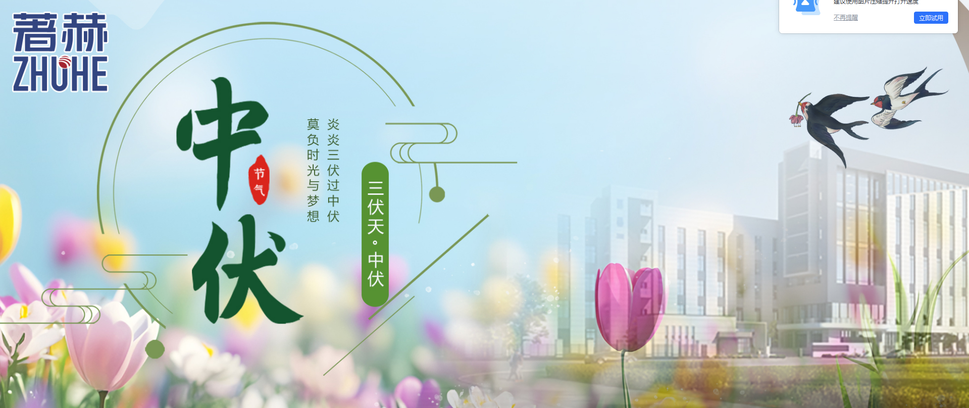 中伏/烈日炎炎，莫负时光与梦想