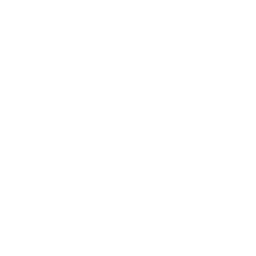 支付