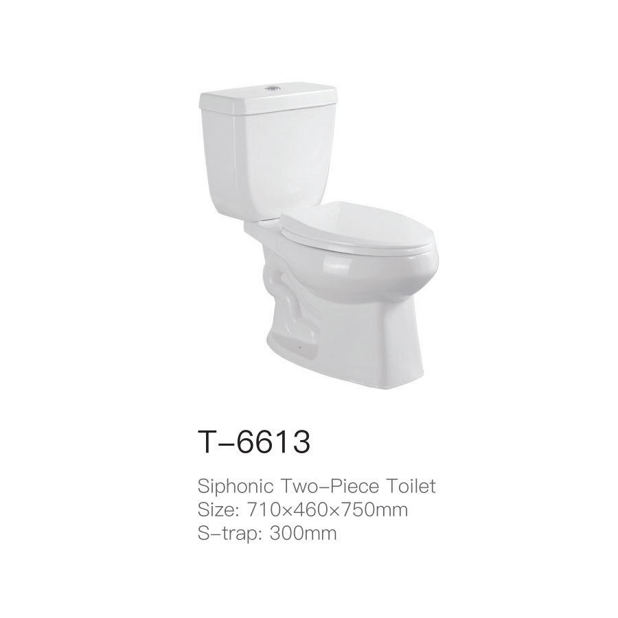 T-6613