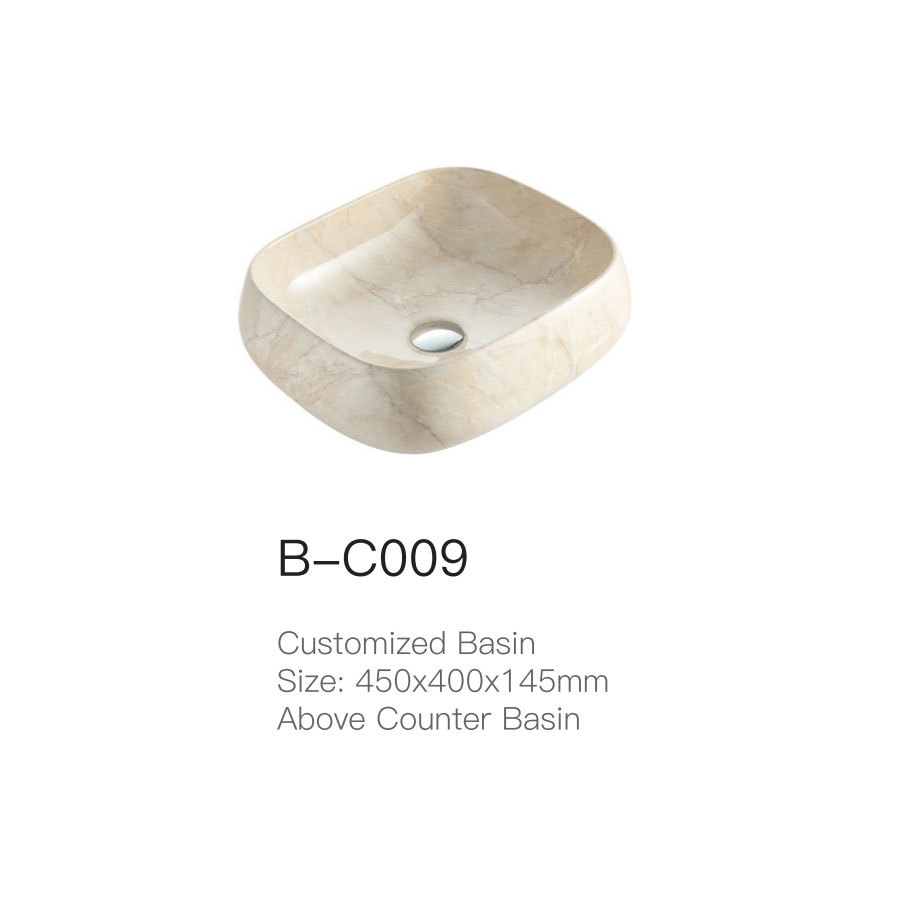 B-C009