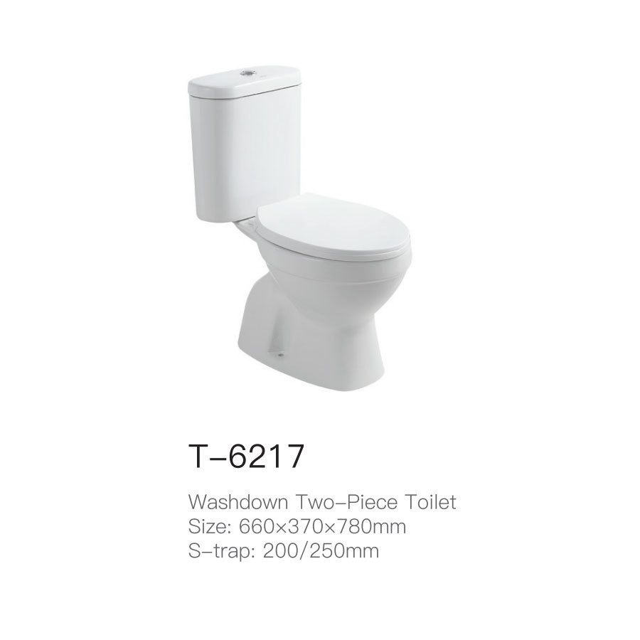T-6217
