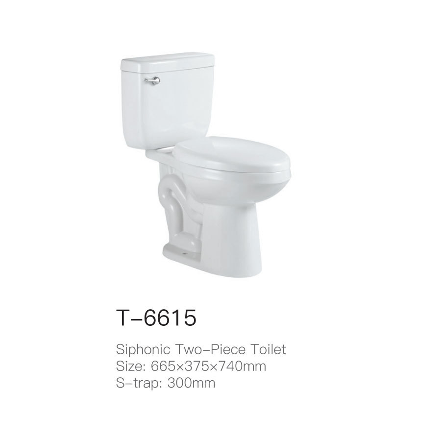 T-6615