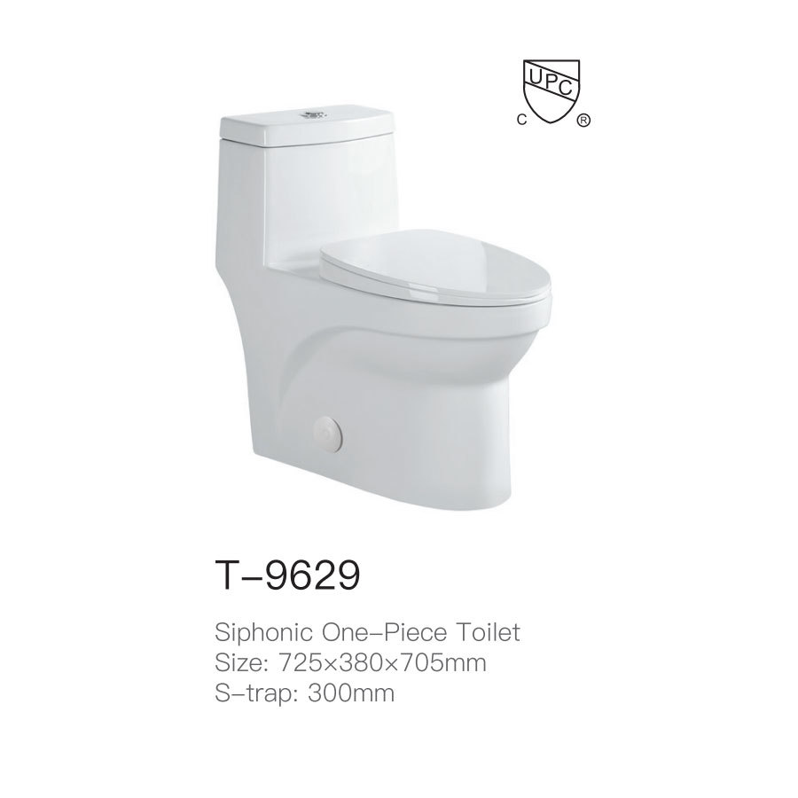 T-9629