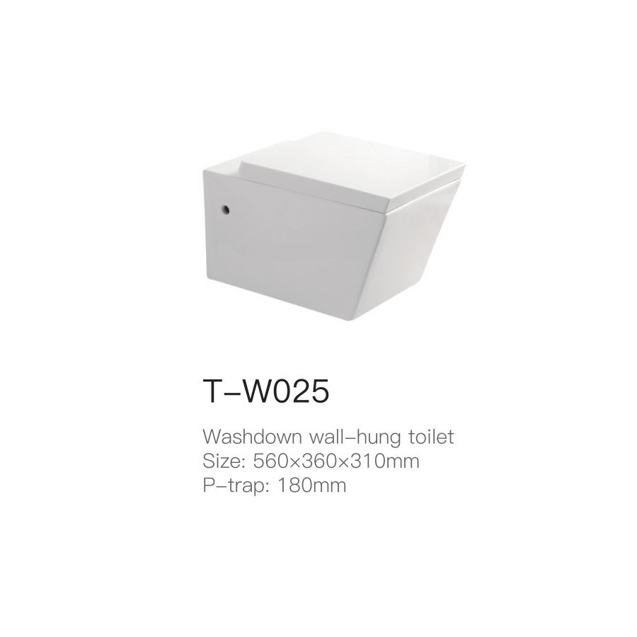 T-W025