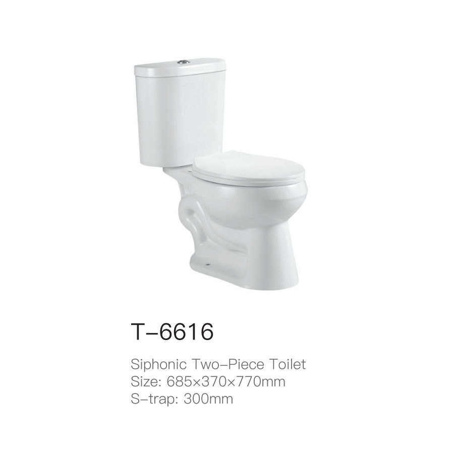 T-6616