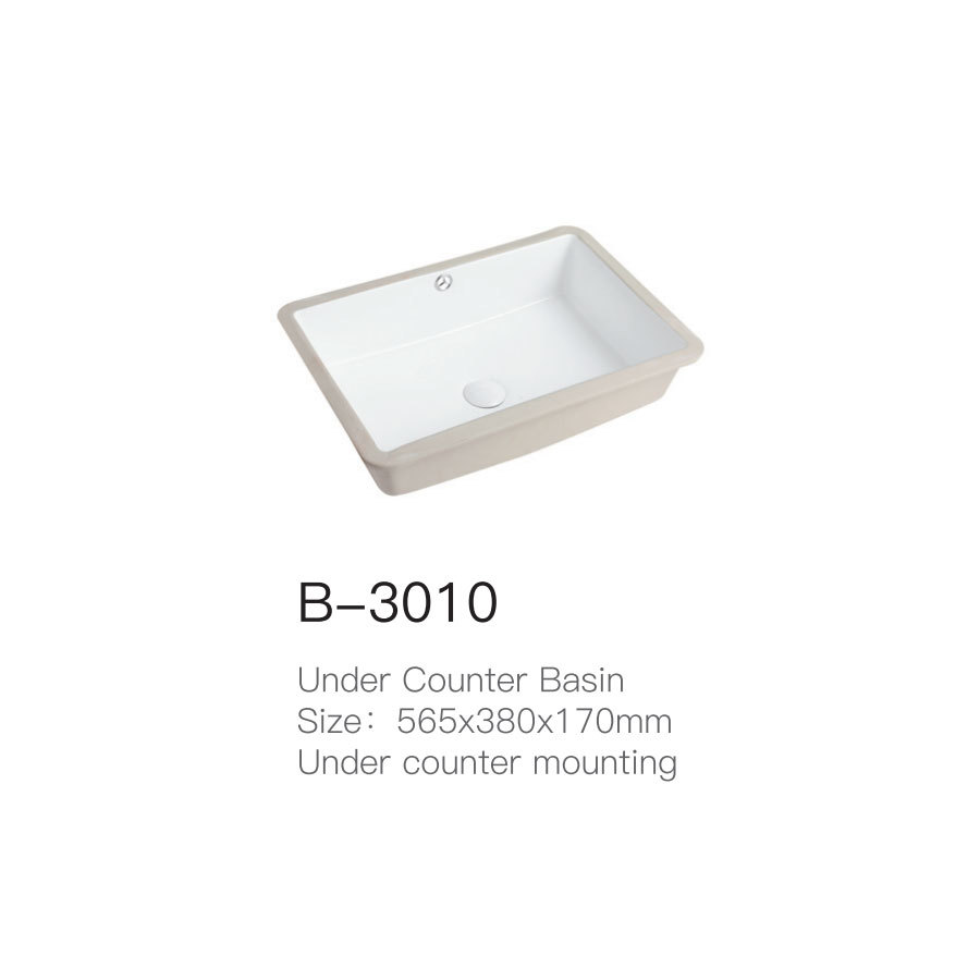 B-3010