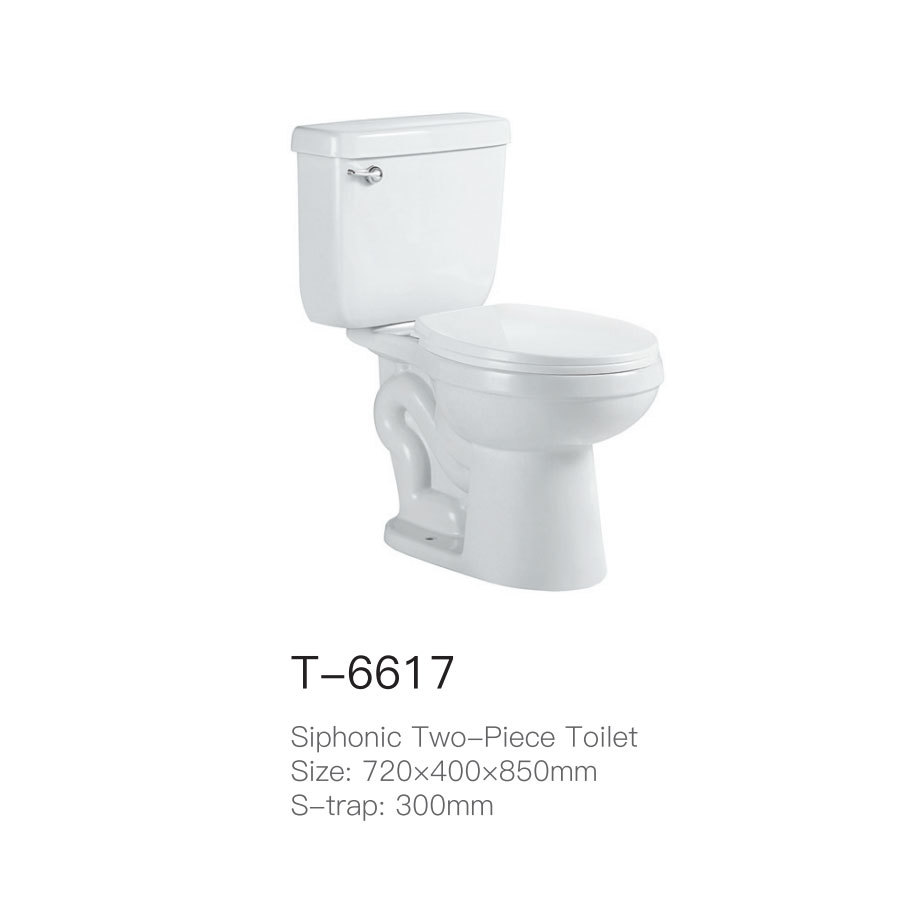 T-6617