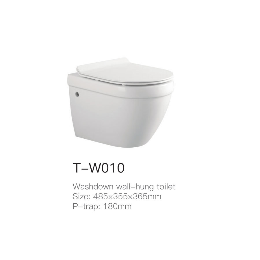 T-W010