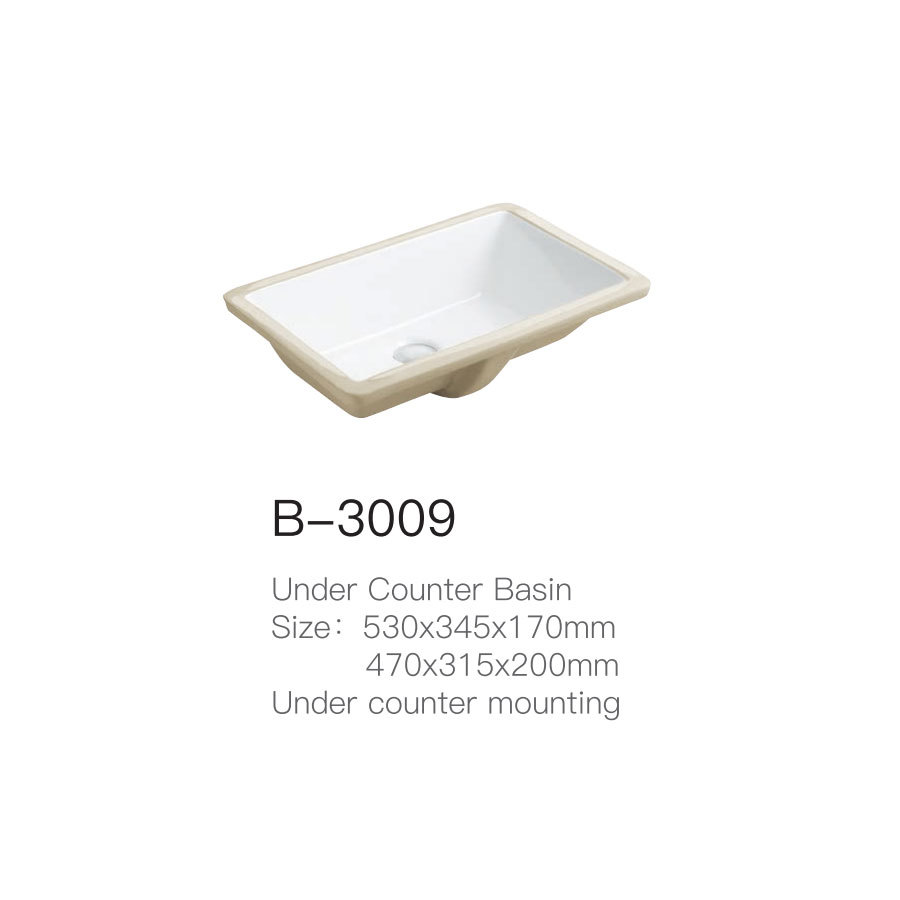 B-3009
