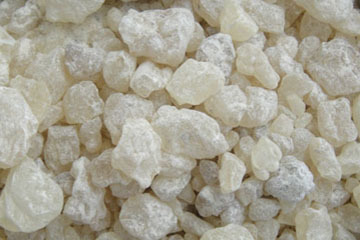 DAMMAR GUM