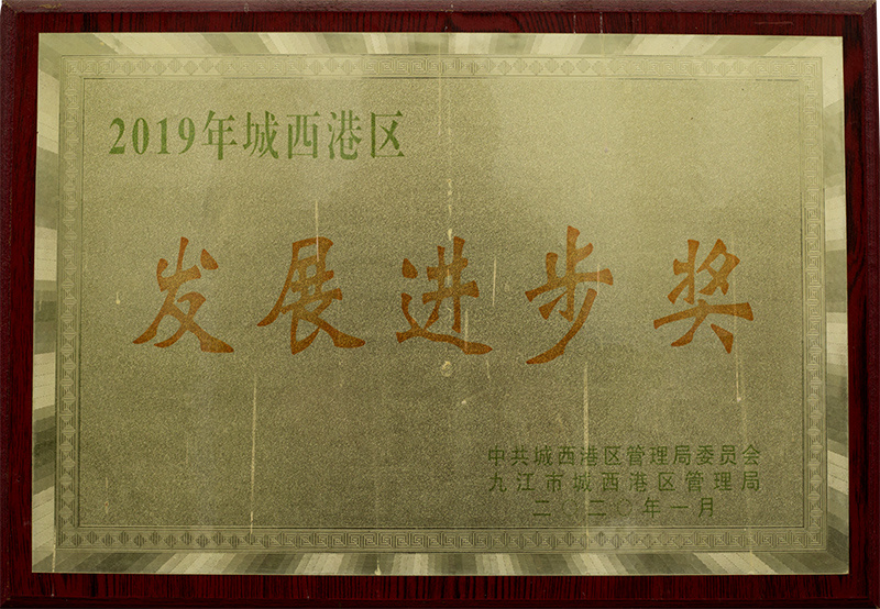 2019年城西港区发展进步奖