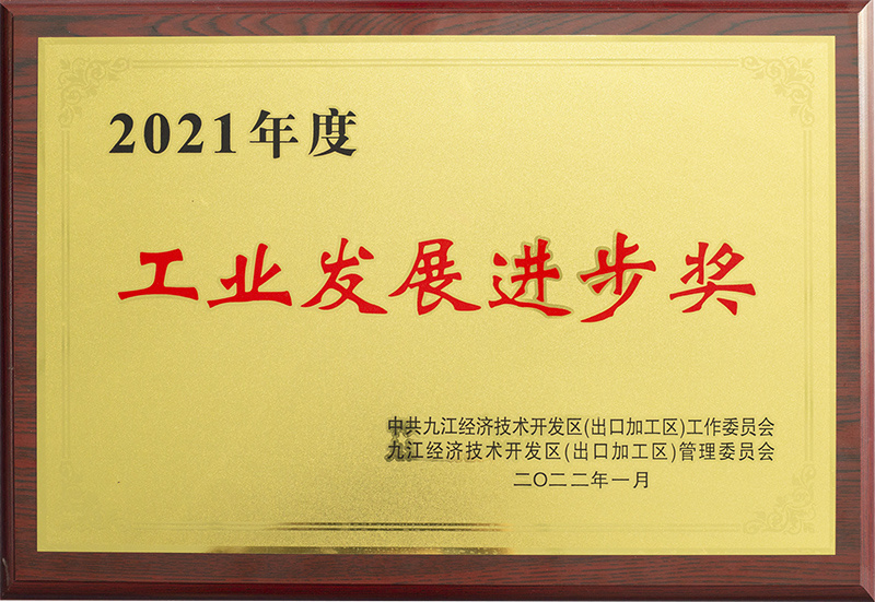 2021年度城工业发展进步奖