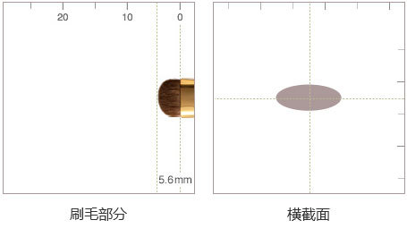 细节