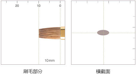 细节