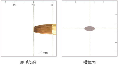 细节