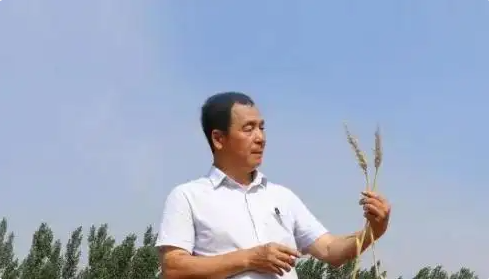 宋福如攻克盐碱地治理难题，收获粮食安全新希望