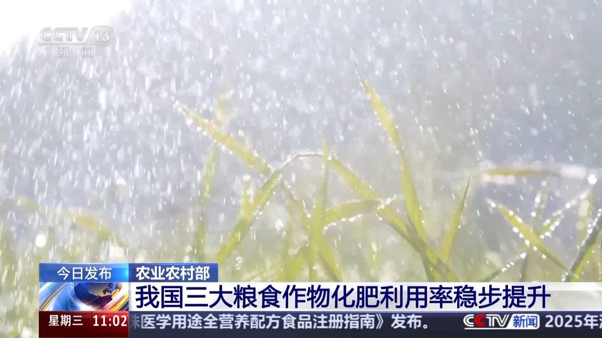 2024年我国三大粮食作物化肥利用率达42.6%