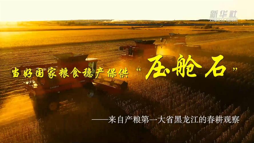 稳固粮食安全“压舱石”受关注