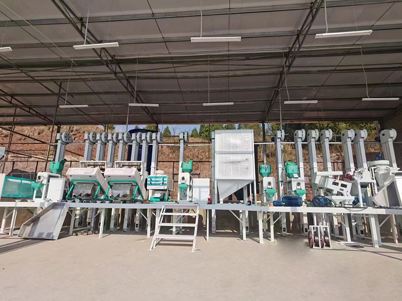 Steel frame type rice processing line in Chengdu City