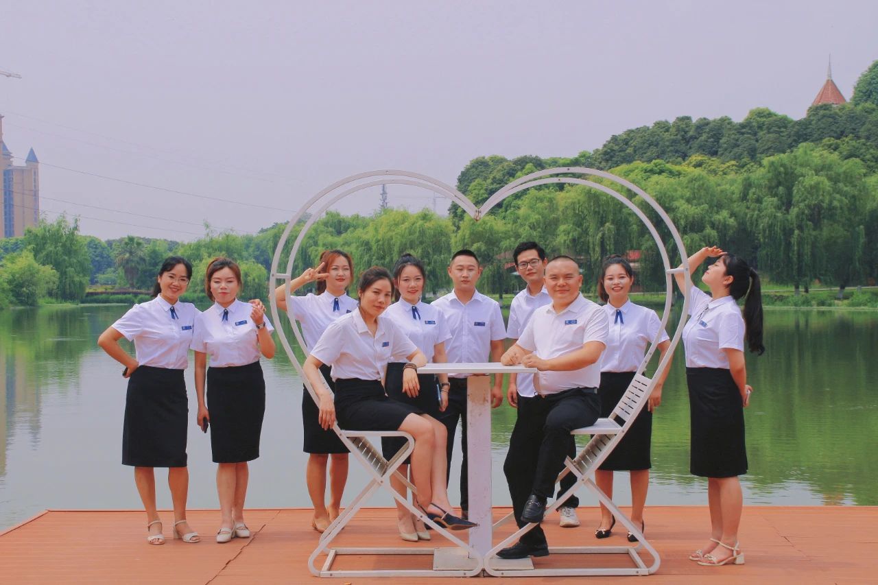 "The power of cohesion-our team style"