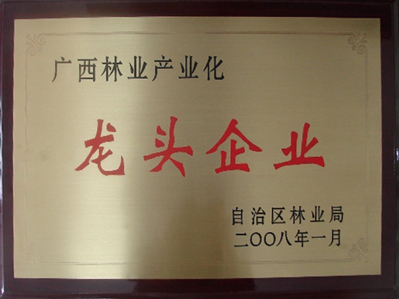 广西林业产业化龙头企业