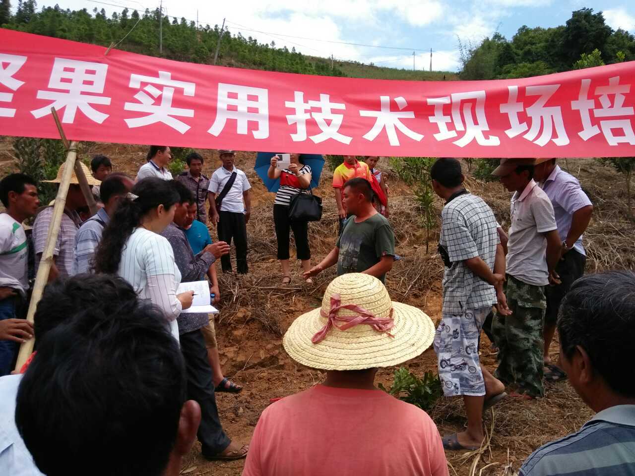 5月12曰 现场技术服务 芒市三台山乡