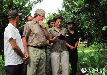 “坚果女王”陈榆秀：高原特色的“摇钱树”或将主导国际话语权