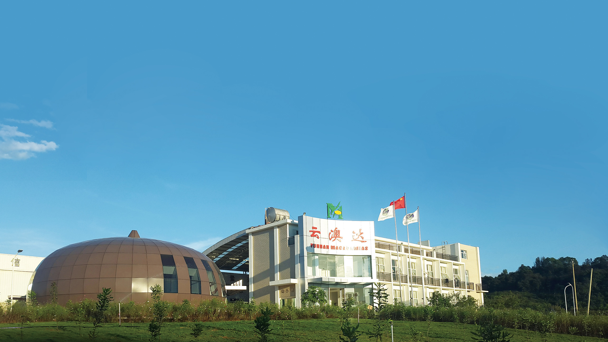 做中国人自己的夏威夷果