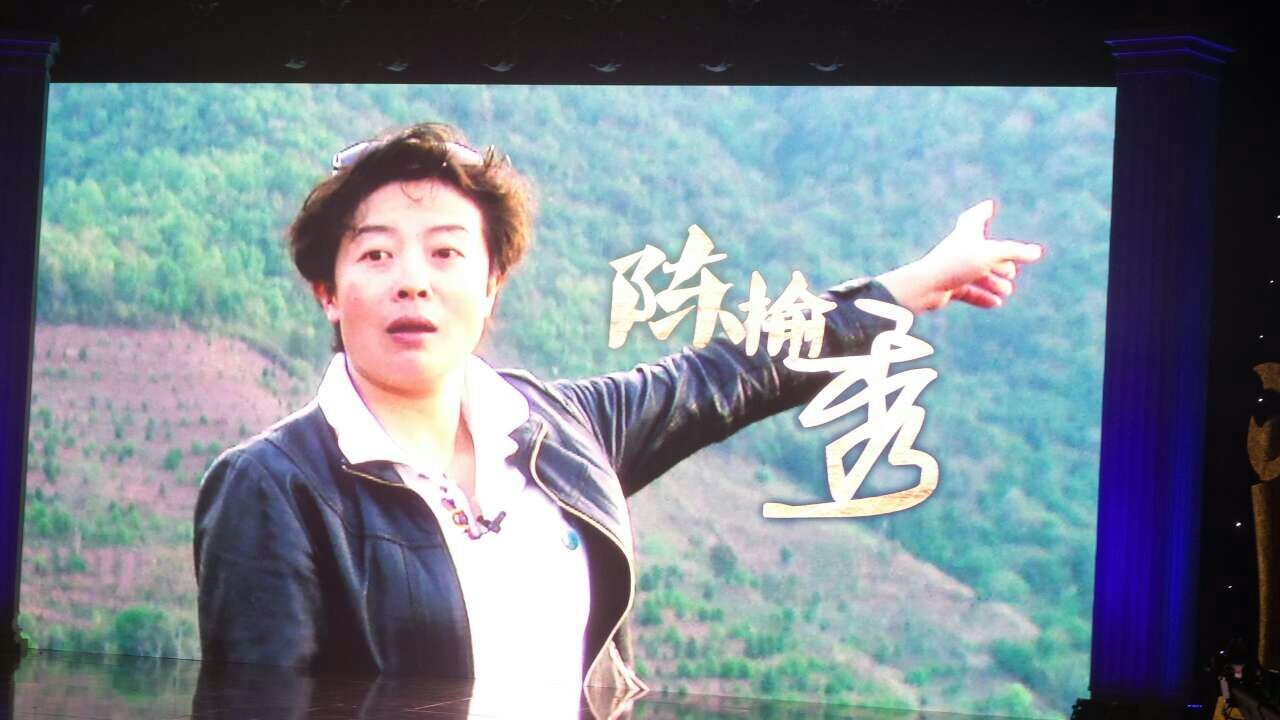 坚守理想结硕果——热烈祝贺云南云澳达公司董事长总经理陈榆秀女士荣获中央电视台两项大奖