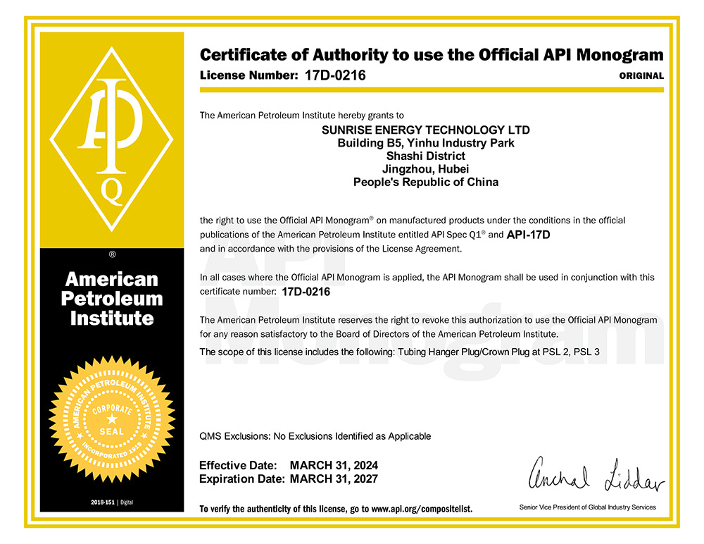 API 17D Certificate